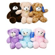 Wholesale - 12" PLUSH BEAR 6-ASST C/P 36, UPC: 698596913684